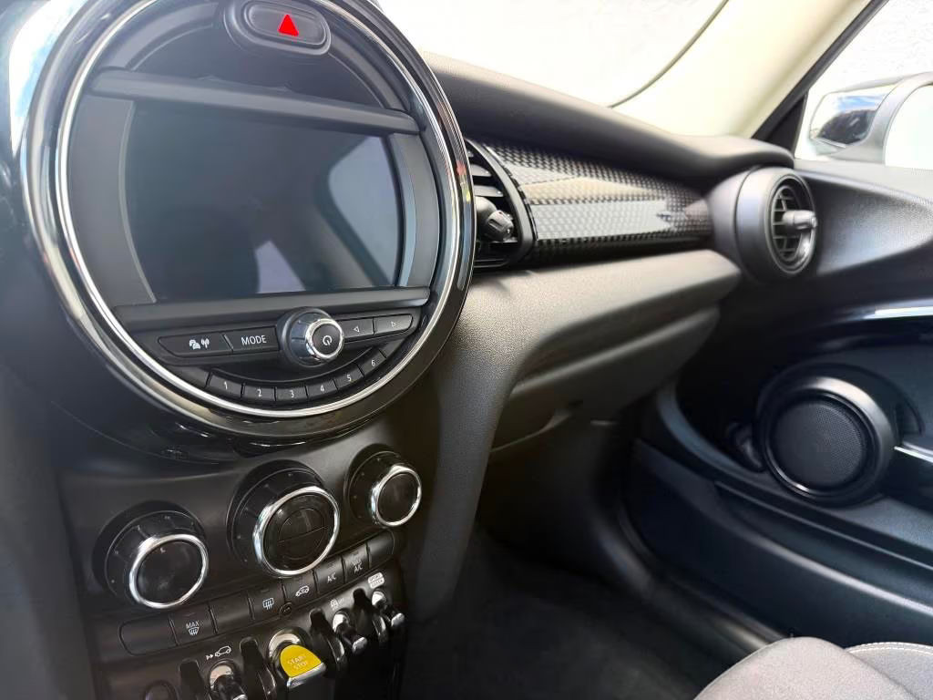 Mini Mini Electric