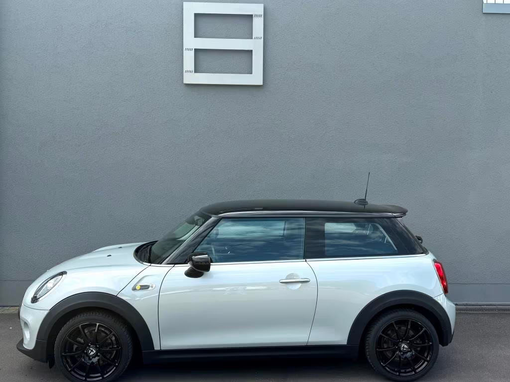 Mini Mini Electric