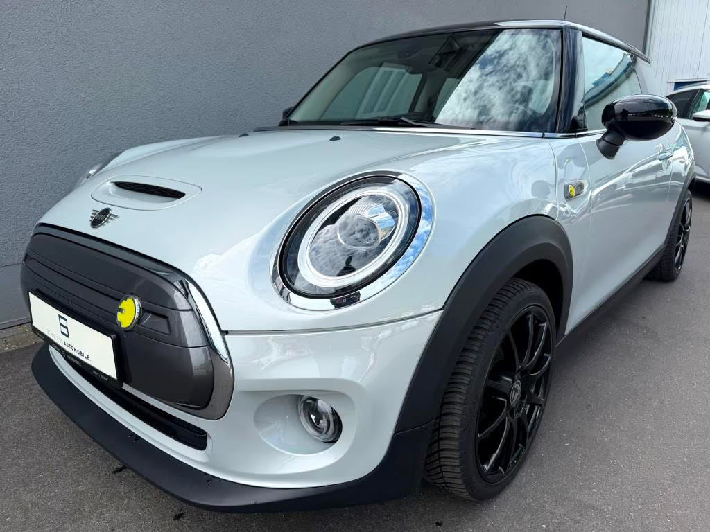 Mini Mini Electric
