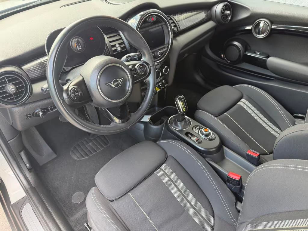 Mini Mini Electric
