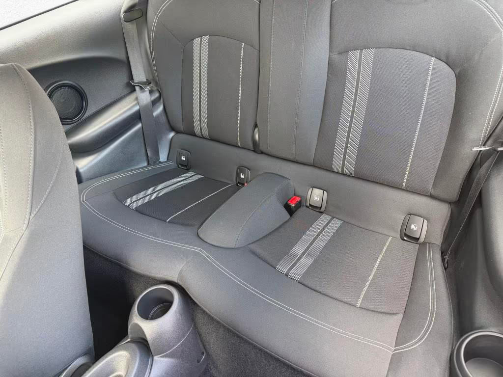 Mini Mini Electric