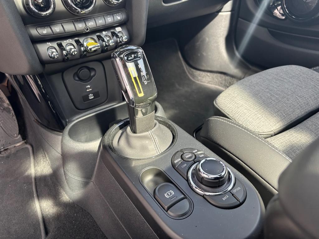Mini Mini Electric