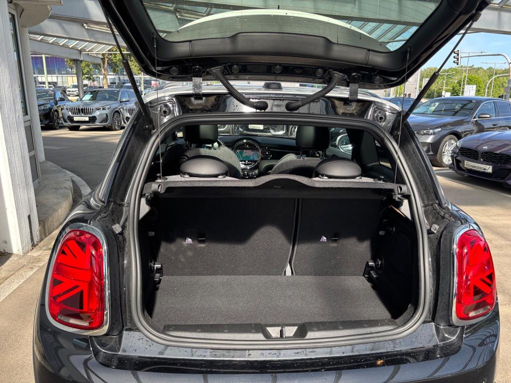 Mini Mini Electric
