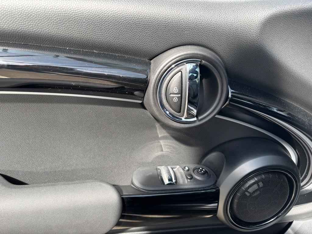 Mini Mini Electric