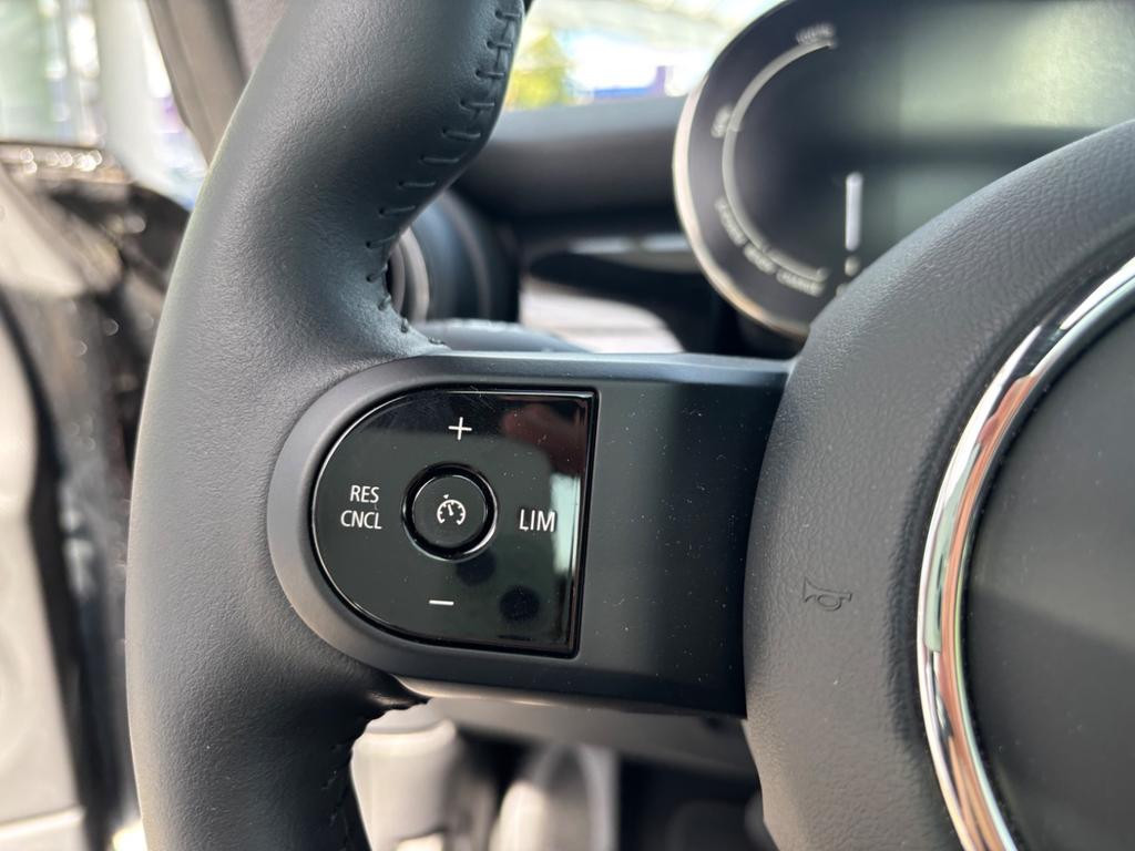 Mini Mini Electric