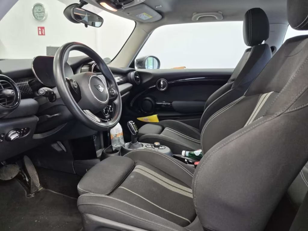 Mini Mini Electric
