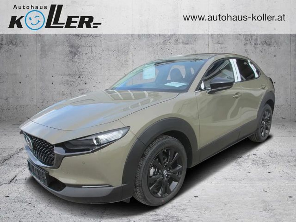 Mazda CX-30 /G140/AT/Nagisa
