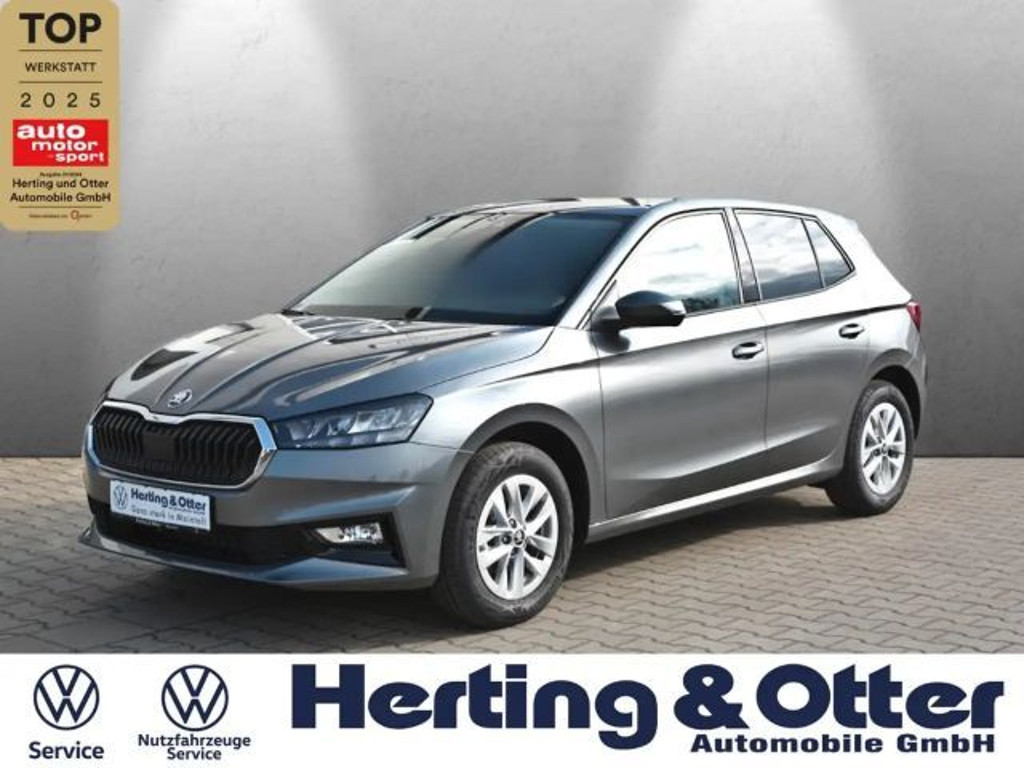 Skoda Fabia Apple CarPlay LED Klima PDC Multif.Lenkrad Spurhal