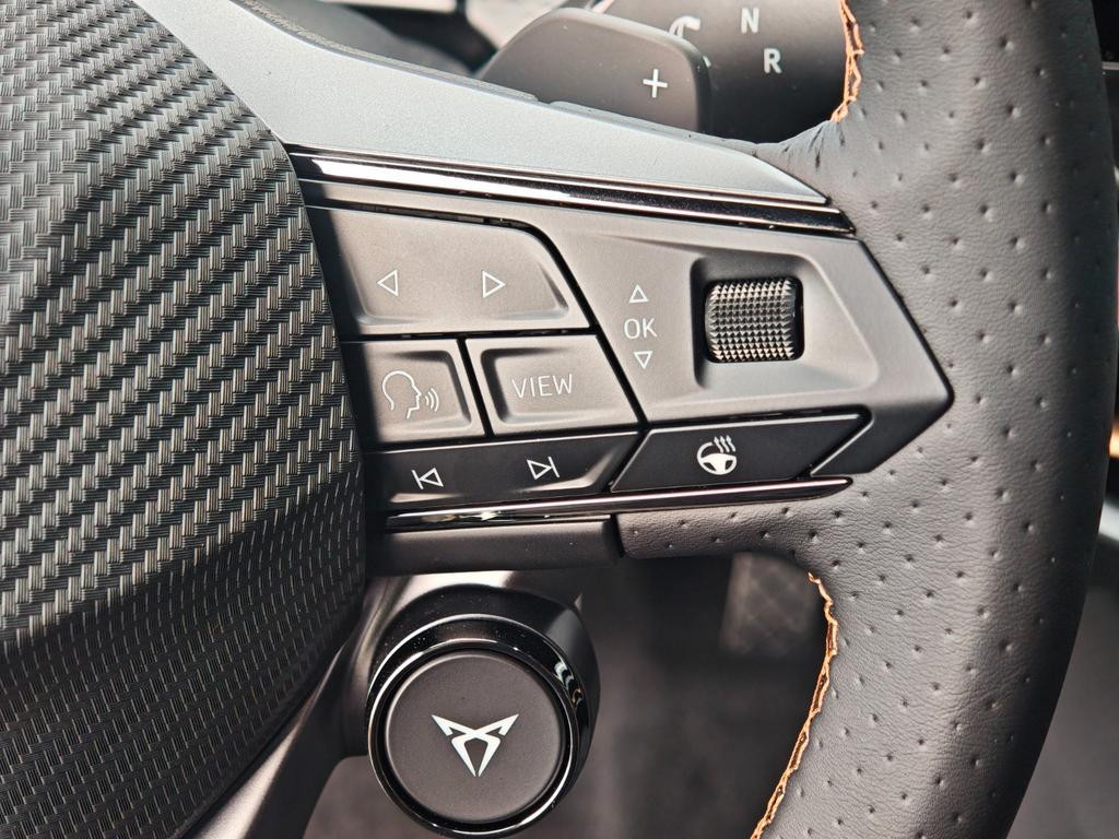 Cupra Raval