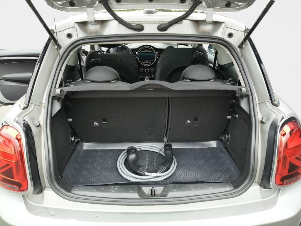 Mini Mini Electric