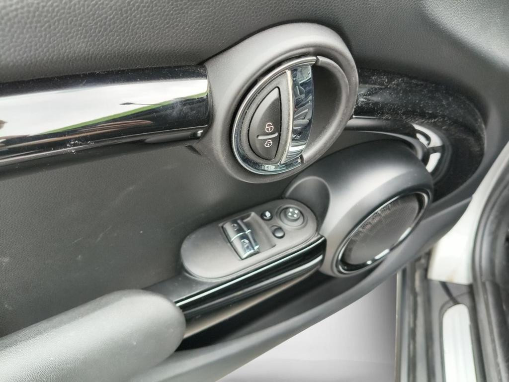 Mini Mini Electric
