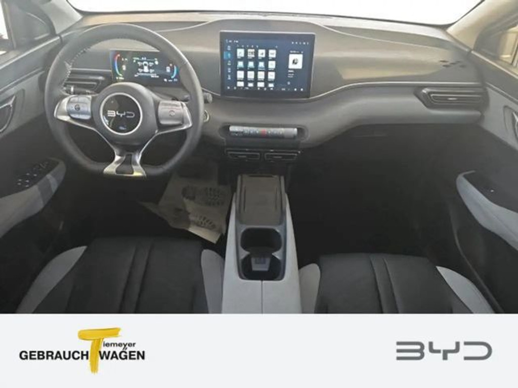 BYD Dolphin Surf