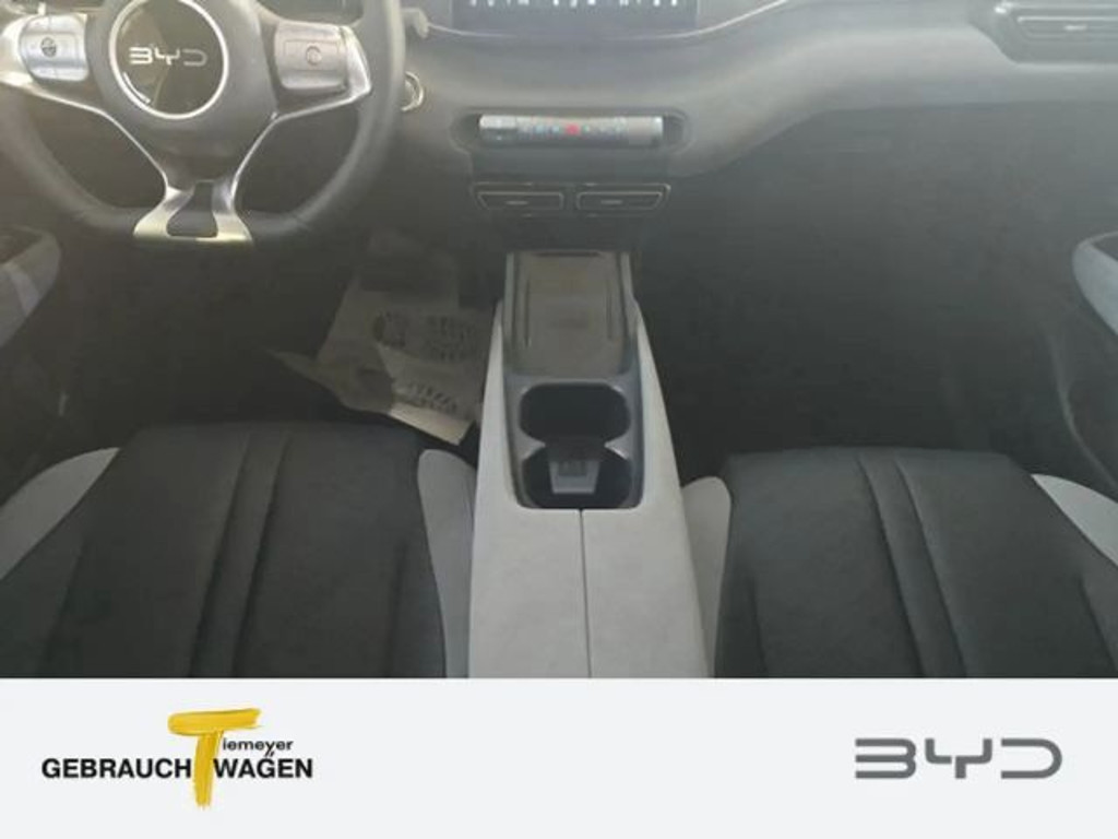 BYD Dolphin Surf