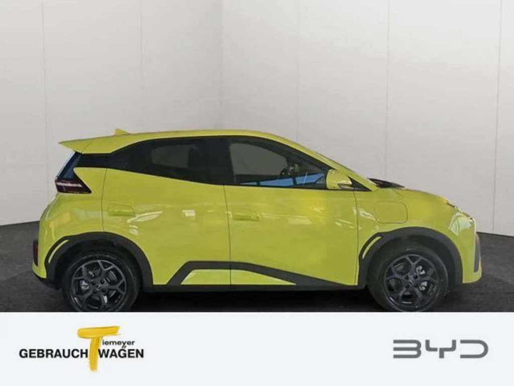 BYD Dolphin Surf