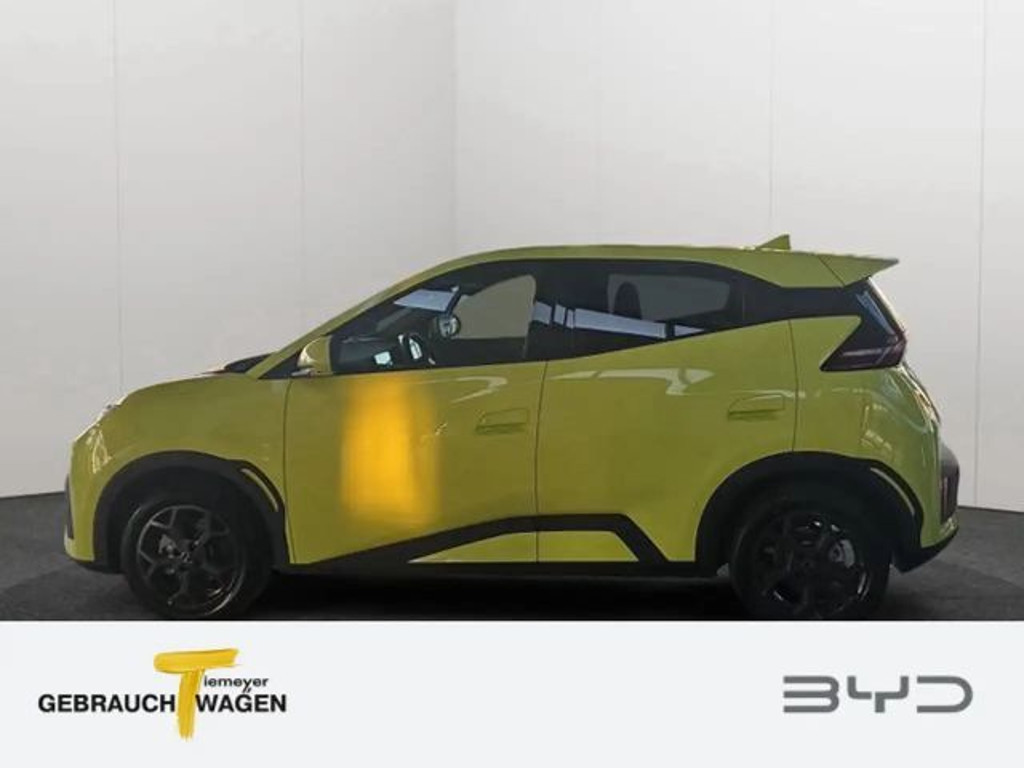 BYD Dolphin Surf