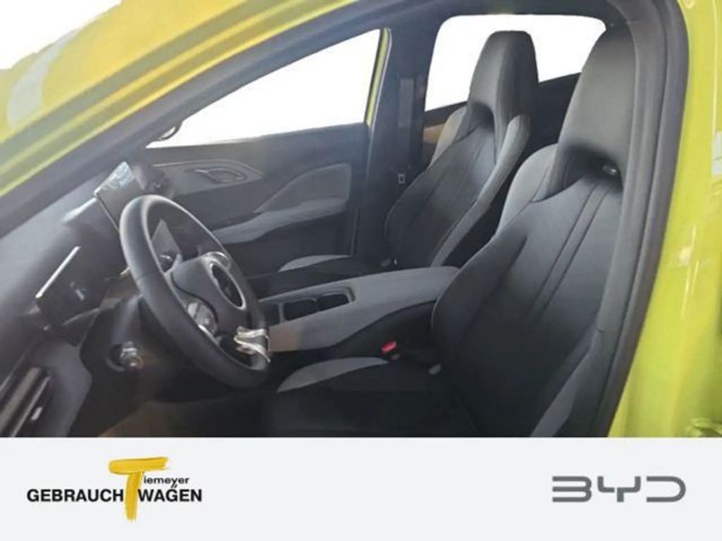 BYD Dolphin Surf