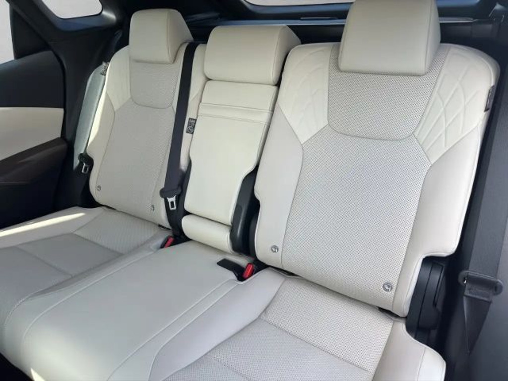 Lexus RX-Serie