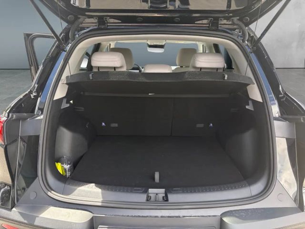 BYD Atto 2