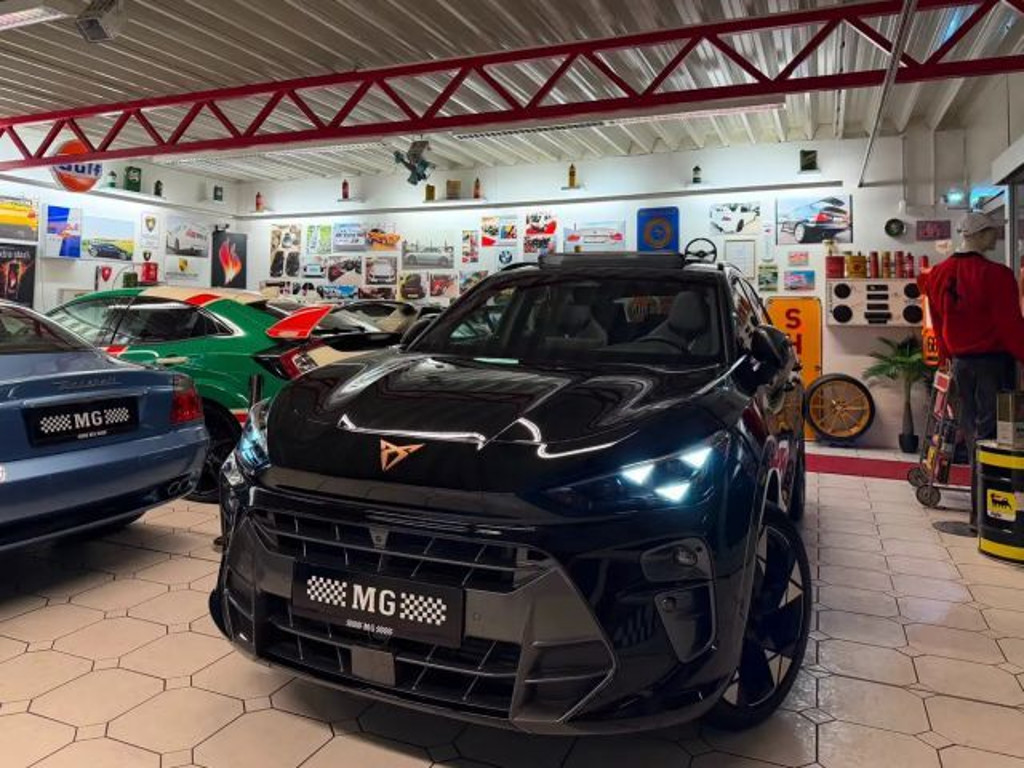 Cupra Terramar 2.0 TSI VZ