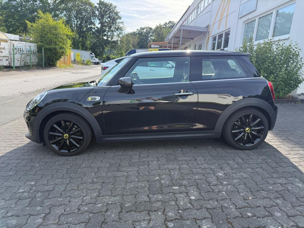 Mini Mini Electric