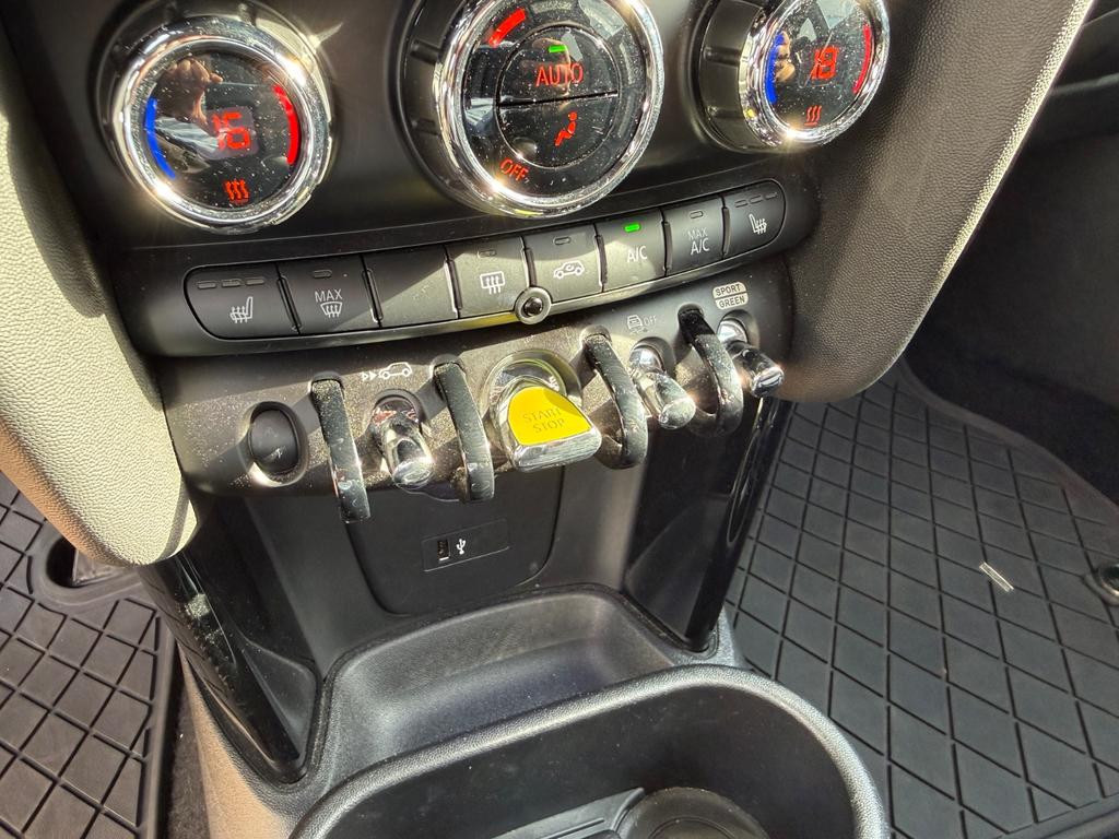 Mini Mini Electric