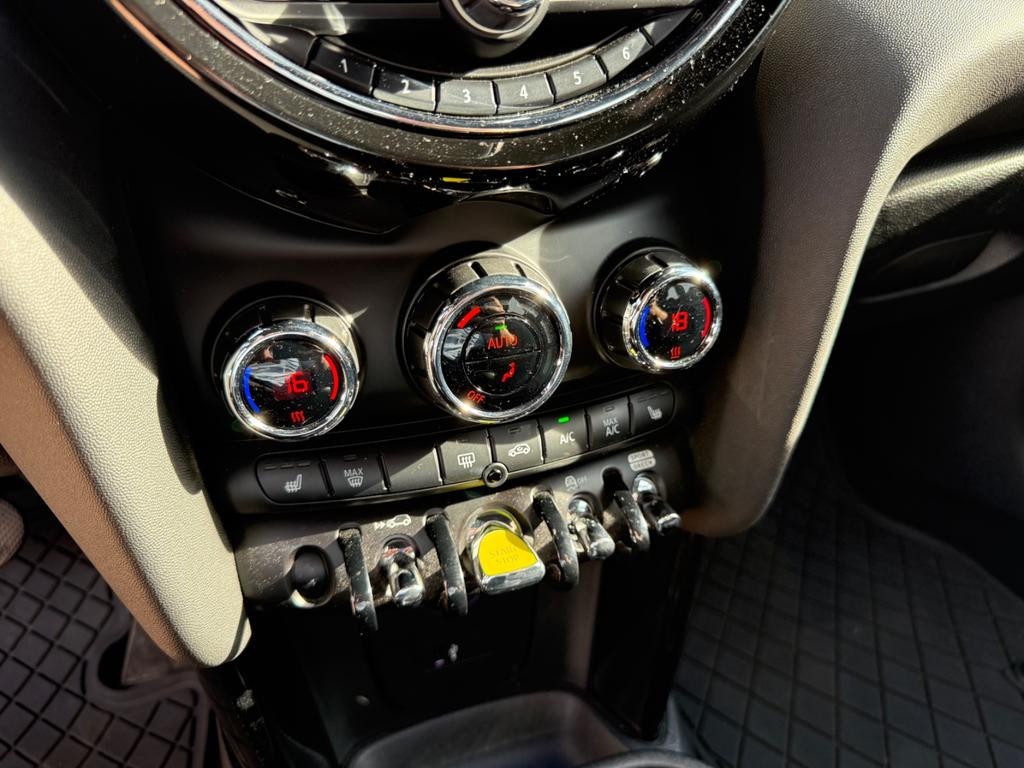 Mini Mini Electric