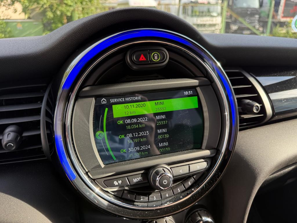 Mini Mini Electric