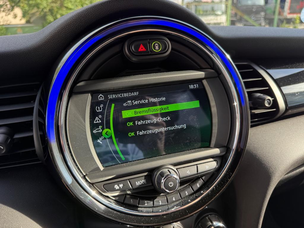 Mini Mini Electric