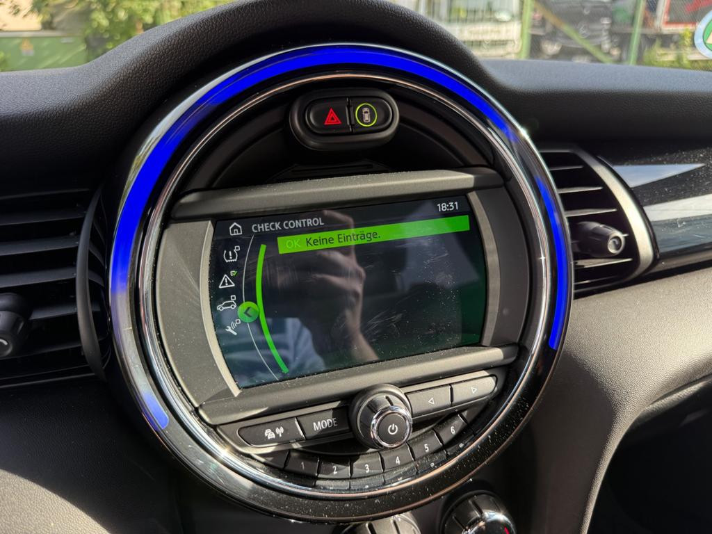 Mini Mini Electric