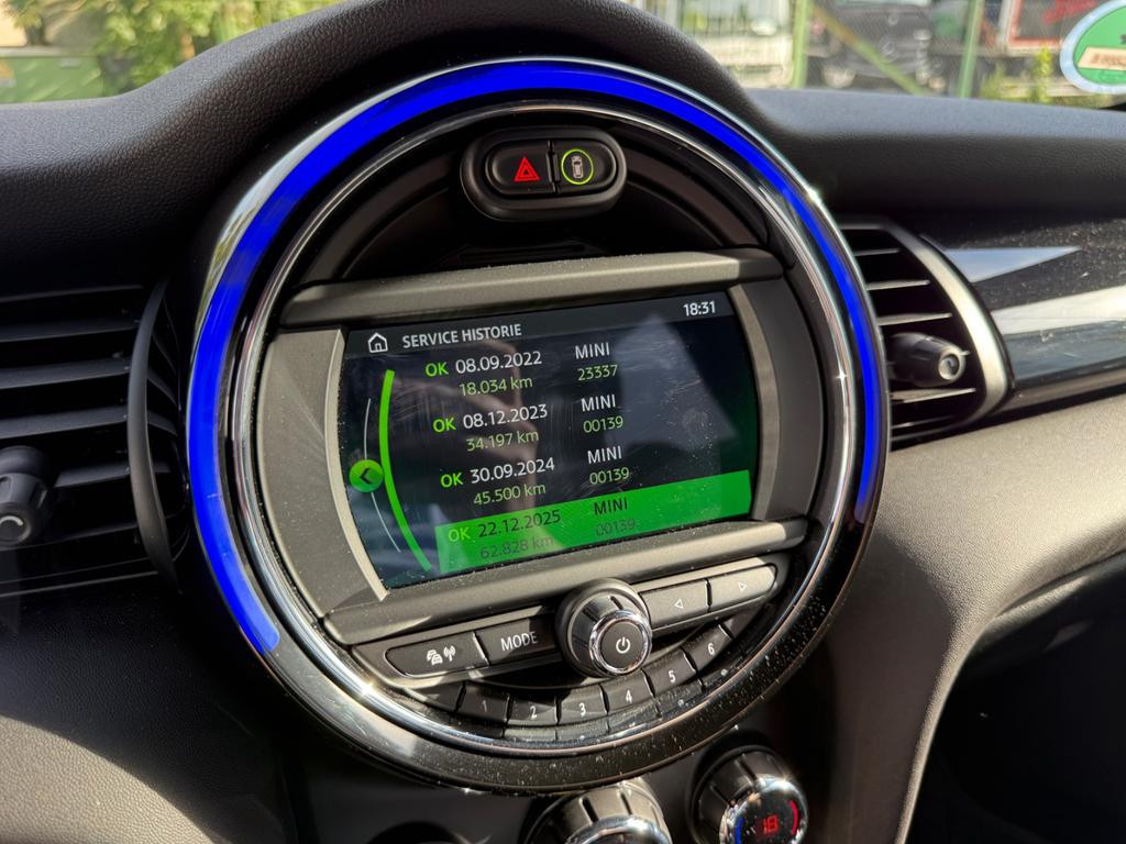 Mini Mini Electric
