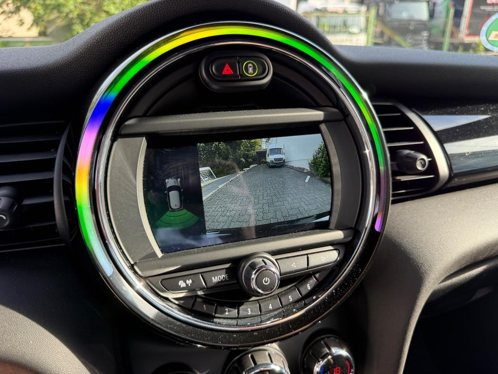 Mini Mini Electric