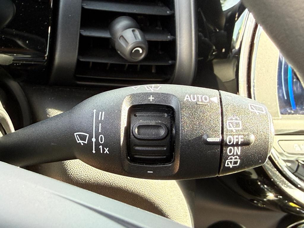 Mini Mini Electric