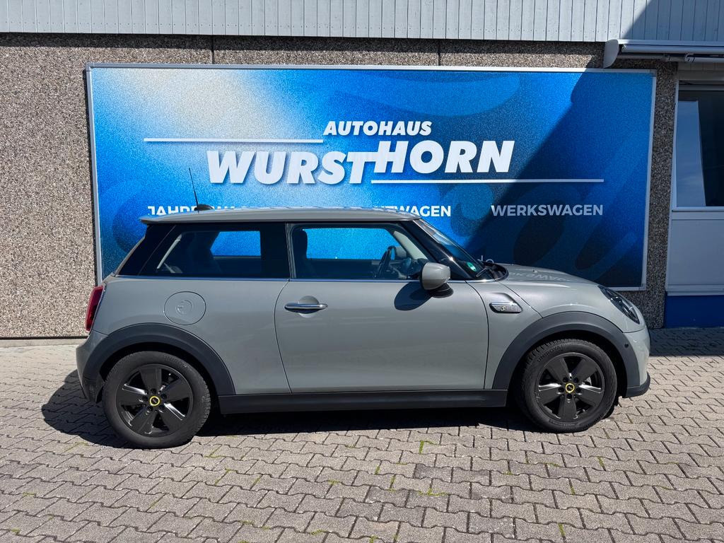 Mini Mini Electric