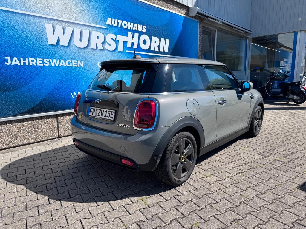 Mini Mini Electric