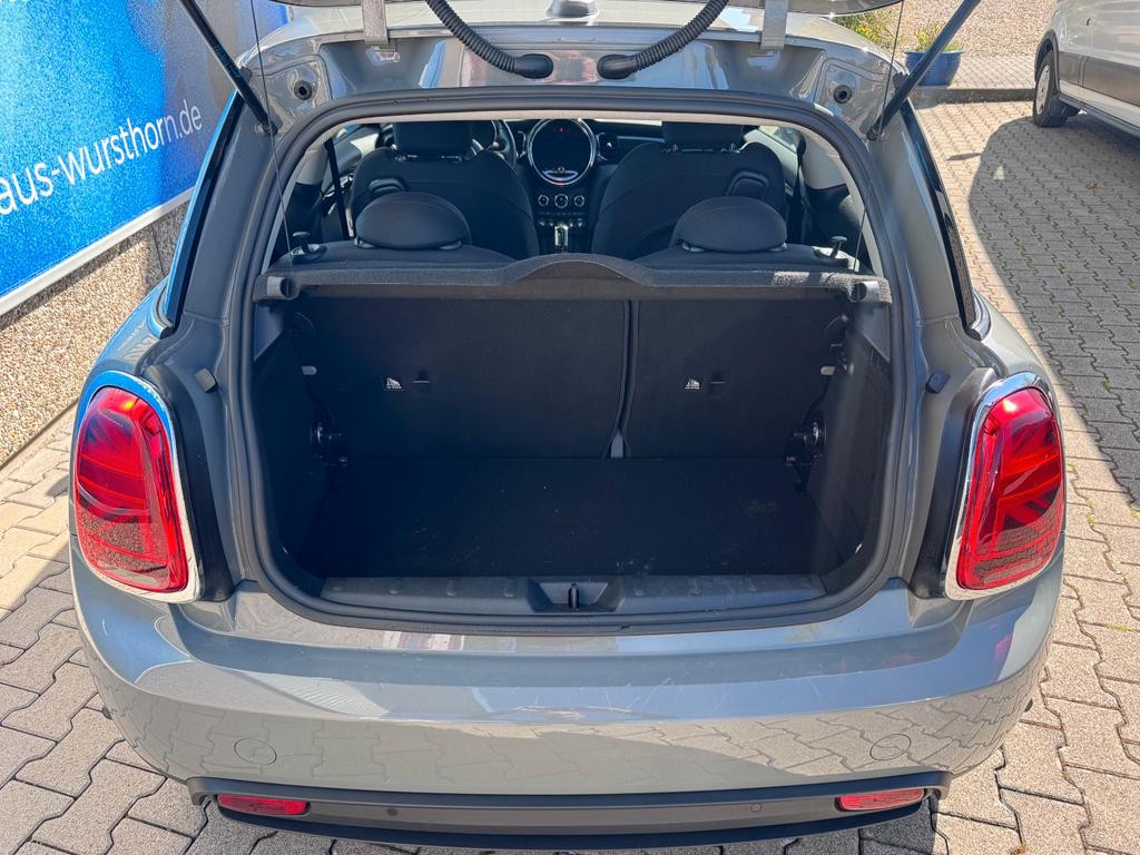 Mini Mini Electric