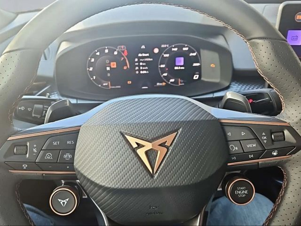 Cupra Terramar