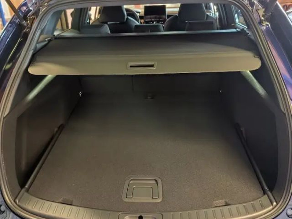 Suzuki Swace