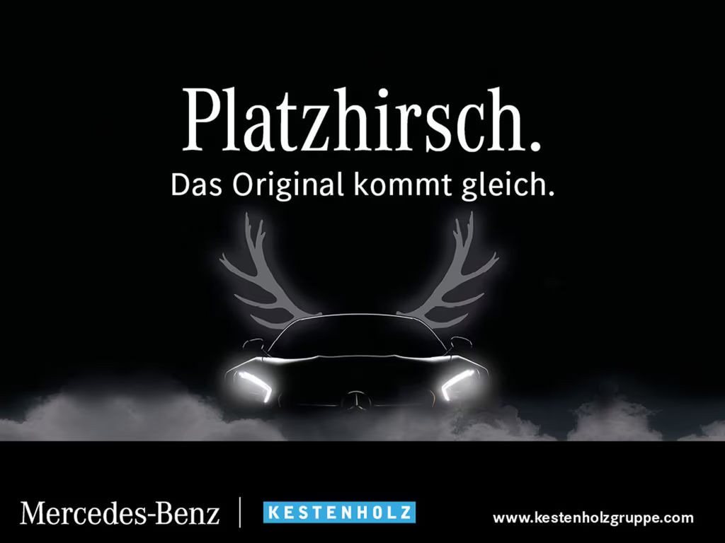 Mercedes-Benz Citan Kasten