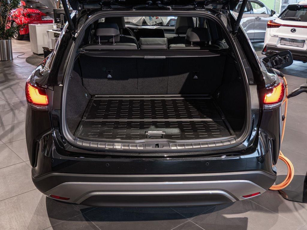 Lexus RX-Serie