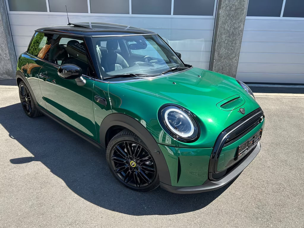 Mini Mini Electric