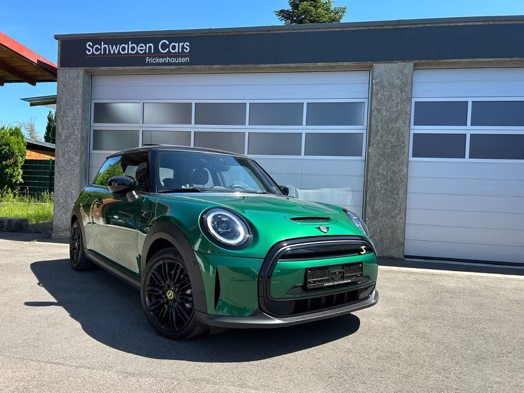 Mini Mini Electric