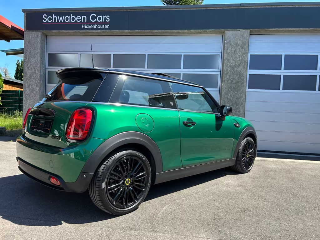 Mini Mini Electric