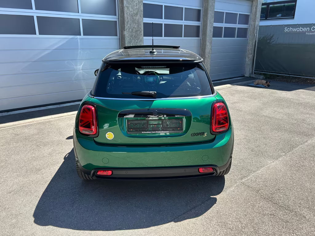 Mini Mini Electric