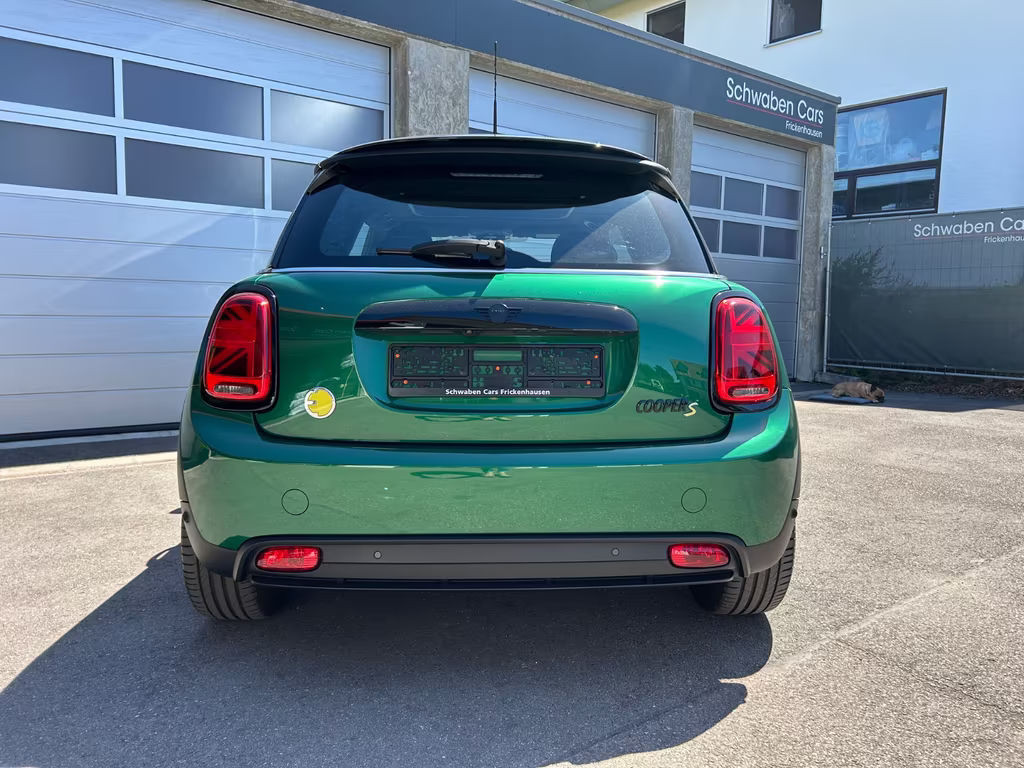 Mini Mini Electric