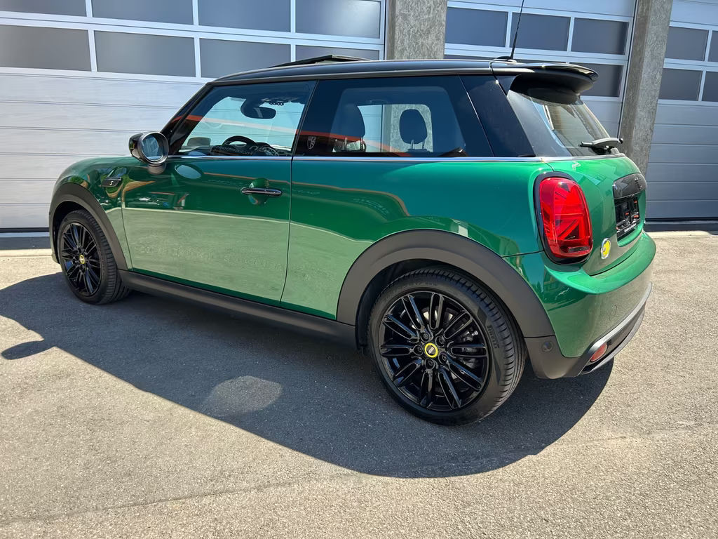 Mini Mini Electric