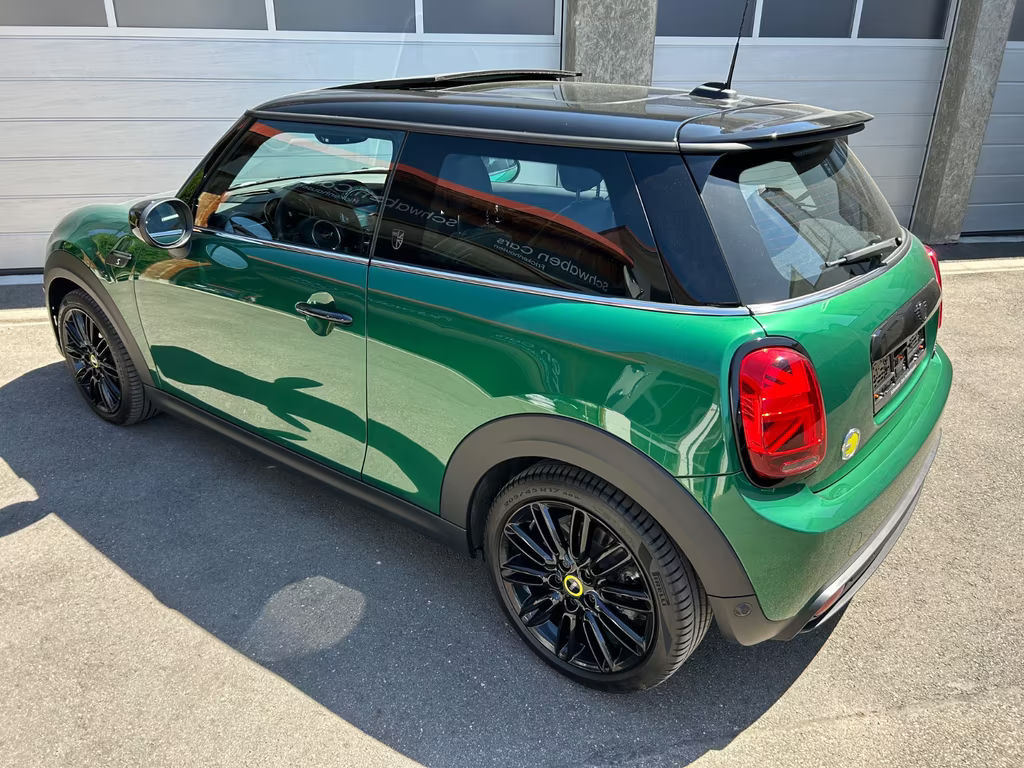 Mini Mini Electric