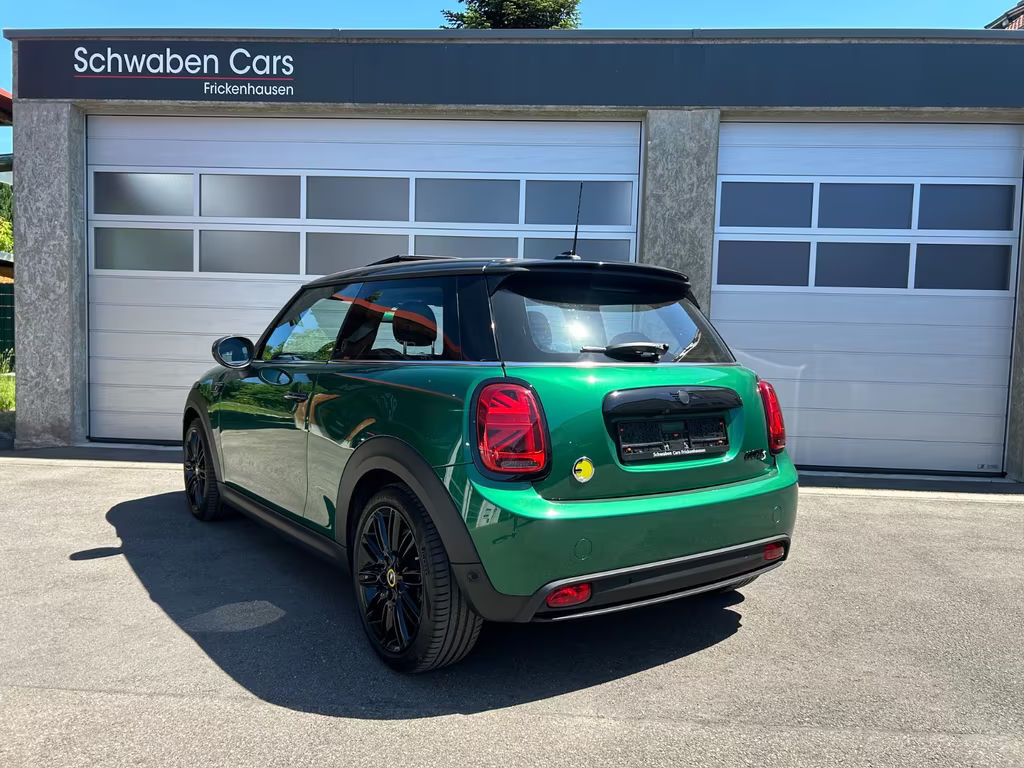 Mini Mini Electric
