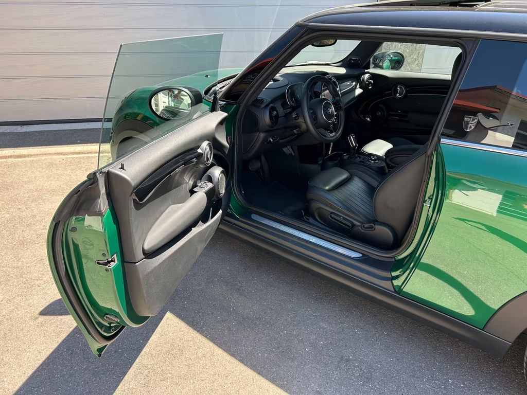 Mini Mini Electric
