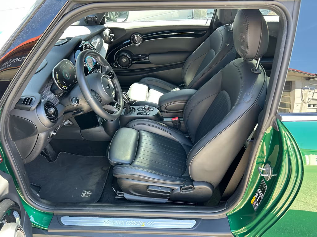 Mini Mini Electric