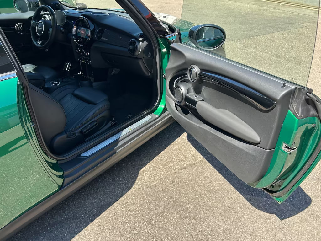 Mini Mini Electric